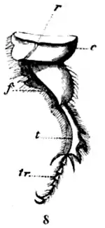 DarwinAbst26.png