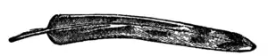 Descent of Man - Burt 1874 - Fig 42.png
