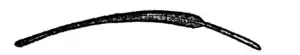 Descent of Man - Burt 1874 - Fig 43.png
