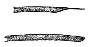Descent of Man - Burt 1874 - Fig 44.png