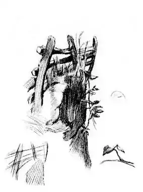 DrawingForBeginners68a.jpg