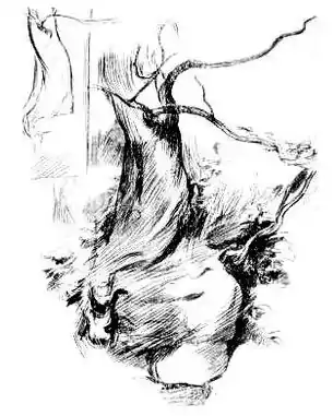 DrawingForBeginners68b.jpg