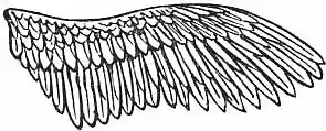 EB1911 - Flight - Fig. 15.jpg