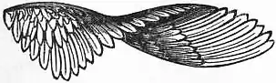 EB1911 - Flight - Fig. 16.jpg