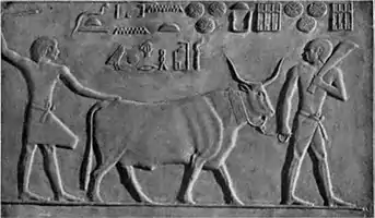 EB1911 Egypt - Pyramid Period - The Oxherds (Limestone).jpg