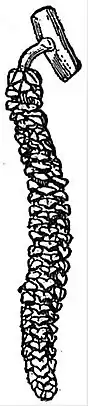 EB1911 Flower - catkin of Corylus avellana.jpg