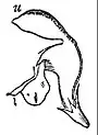 EB1911 Flower - corolla of Lamium album.jpg