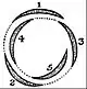 EB1911 Flower - diagram - quincuncial aestivation.jpg