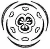 EB1911 Flower - diagram of Fritillaria flower.jpg