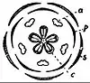 EB1911 Flower - diagram of a completely symmetrical flower.jpg