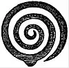 EB1911 Leaf - Transverse section of a convolute leaf.jpg