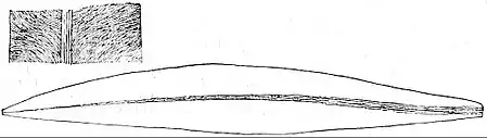 EB1911 Palaeobotany - Glossopteris frond.jpg