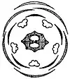 EB1911 Umbelliferae - Diagram of flower of Umbelliferae.jpg