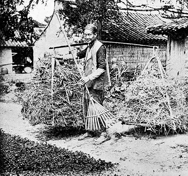 Farmers of forty centuries - Dried grass fuel, Shanghai.jpg