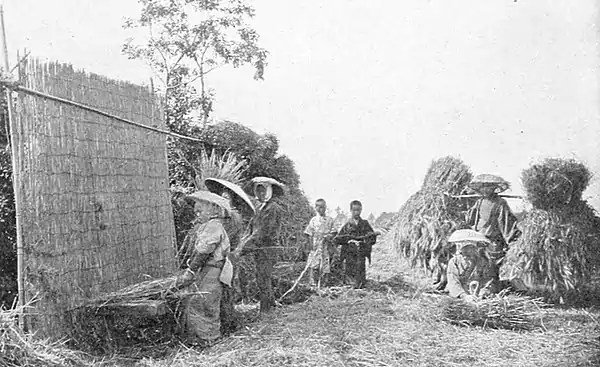 Farmers of forty centuries - Japanese family gathering and threshing barley.jpg