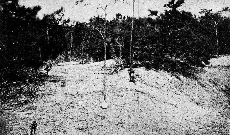 Farmers of forty centuries - Reforestation tract, Tsingtao, Shantung.jpg
