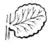 Ferns and evergreens of New England - Spleenwort. Asplenium trichomanes.png