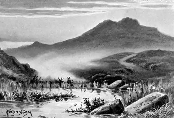 Hare Tor - A Book of Dartmoor.jpg