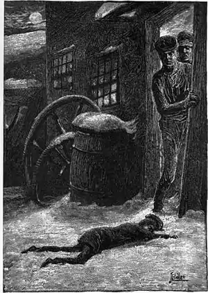 Haworth's (20).jpg