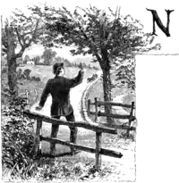 N