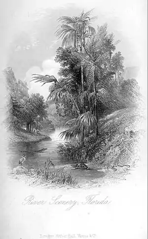 Homes of the New World - River Scenery, Florida.jpg