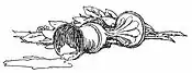 Howells, Stops of Various Quills, 1895 009 large c.jpg