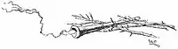 Howells, Stops of Various Quills, 1895 017 large c.jpg