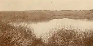 Hymns of the Marshes (page 77 crop).jpg