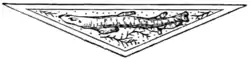 In Maremma (Ouida) - end block 10.png
