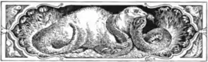 Rikki-Tikki-Tavi
