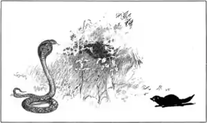 Jungle book p206r.png