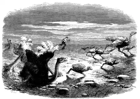 Lake Ngami-p249.png