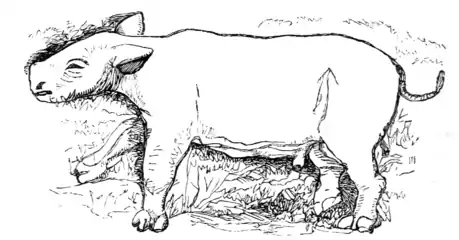 Lake Ngami-p376.png