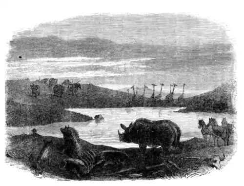 Lake Ngami-p398.png