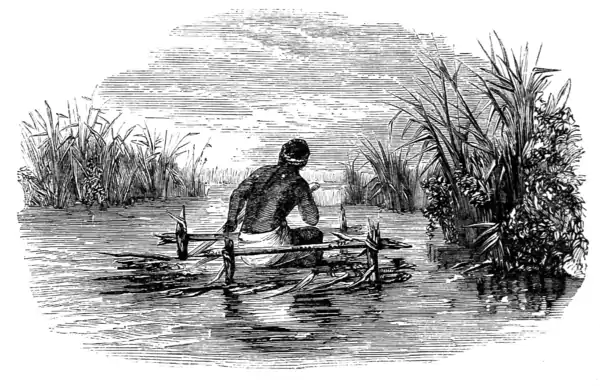 Lake Ngami-p476.png