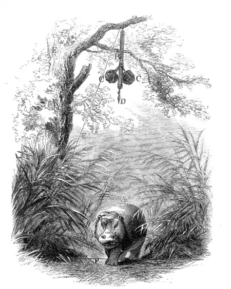 Lake Ngami-p505.png