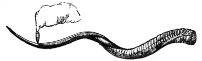 Lake Ngami-p89.png