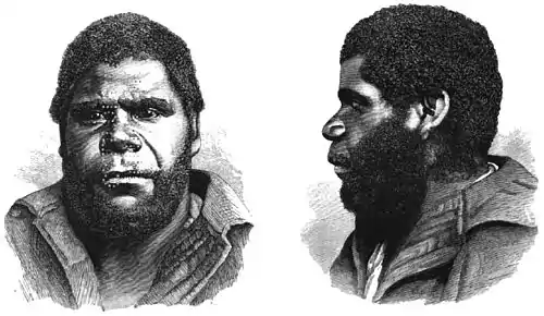 Last of the Tasmanians Woodcut 14 - William Lanne.jpg