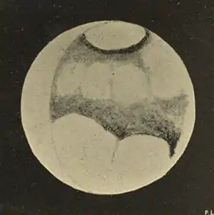 Lowell - Mars (1894) - Plate 16 Figure 1.jpg
