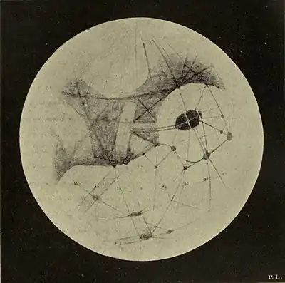 Lowell - Mars (1894) - Plate 5.jpg