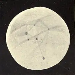 Lowell - Mars (1896) - Plate 22 Figure 1.jpg
