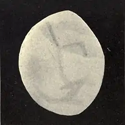 Lowell - Mars (1896) - Plate 22 Figure 5.jpg