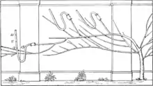 Makers of British botany, Figure on page 77.png
