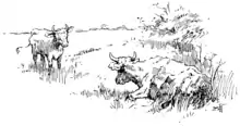 Moo cow tales - illustration at p53.png
