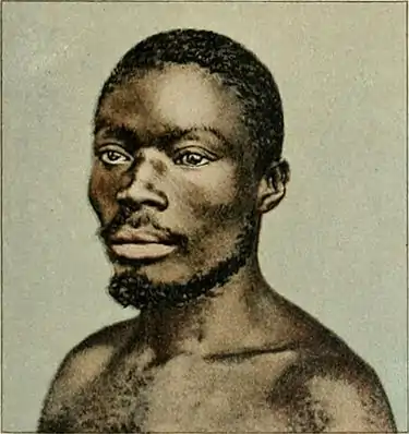 NIE 1905 Africa - Guinea Type.jpg