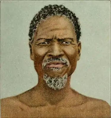 NIE 1905 Africa - Hottentot Type South Africa.jpg