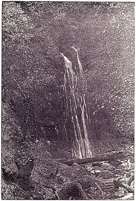 Nicol's Creek Waterfall (Picturesque Dunedin).jpg