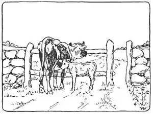 Nursery35.jpg