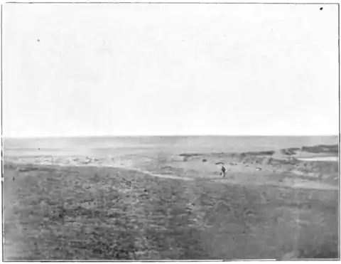 Odyssey (Butler) Salt works of S. Cusumano B.png