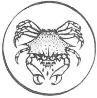 OuroborosCrab.jpg